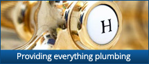 Plumbing Services