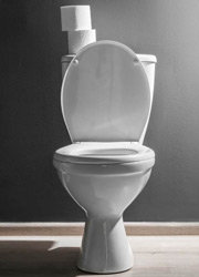 Toilet Replacement