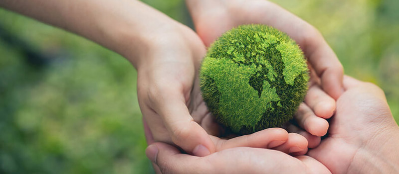 8 Celebrities Who Are Green Energy Advocates