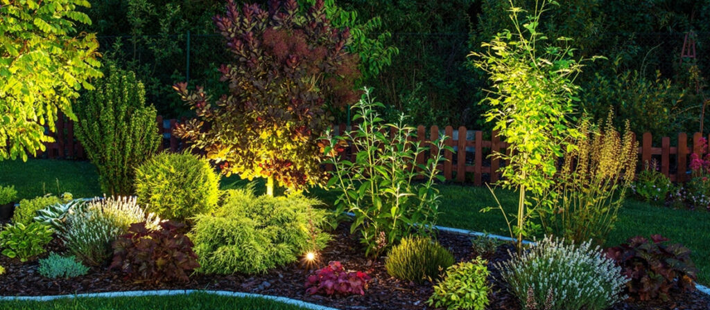 Exterior Landscape Lighting