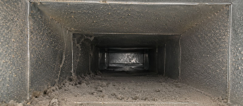 Should You Have the Dirty Air Ducts in Your Home Cleaned