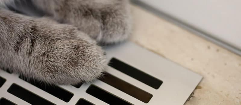 How to Tell If Your Air Ducts Need Professional Cleaning
